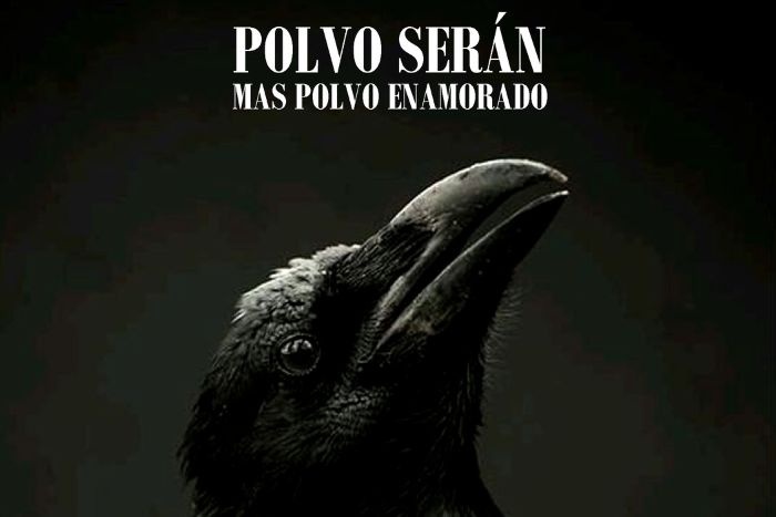 Polvo serán, mas polvo enamorado