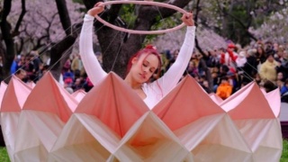 circodeoroyorigami