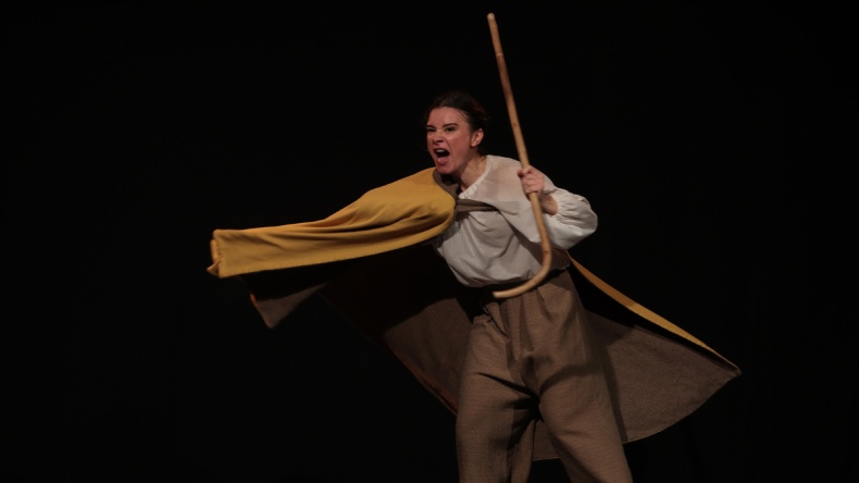 LA PÍCARA DE CERVANTES